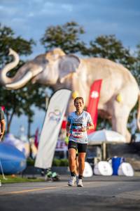 BIB: 
                            <button type="button" onclick="openModal(26541173)" class="btn btn-primary btn-sm float-right btn-popup" data-toggle="modal" data-target=".modal-high-quality">
                        <i class="fas fa-shopping-cart"></i> Add to Cart
                    </button>
                                            <button type="button" onclick="isThisMe(26541173, true)" class="btn btn-success btn-sm float-right btn-popup btn-isme hidden" data-toggle="tooltip" data-placement="bottom" title="นี่คือรูปของคุณใช่ไหม คลิกที่นี่เพื่อเอาเข้าอัลบั้ม">
                        <i class="fas fa-plus"></i> Add to album
                    </button>
                    <button type="button" onclick="isThisMe(26541173, false)" class="btn btn-warning btn-sm float-right btn-popup btn-isnotme hidden">
                        <i class="fas fa-ban"></i> Remove from album
                    </button>